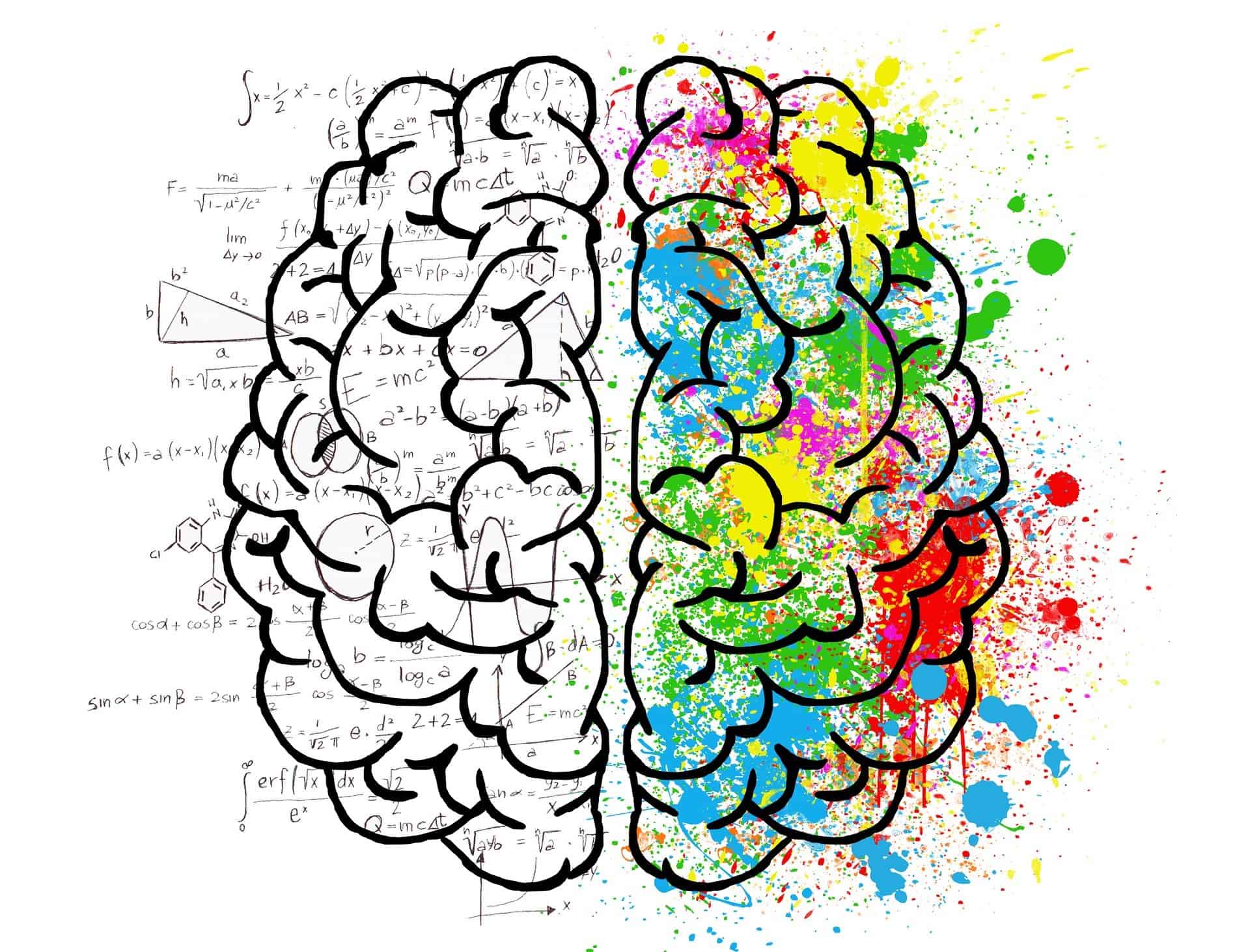 Creativity fueled brain